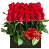 Caja 36 Rosas