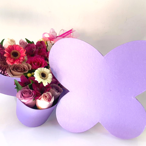 Butterfly - Imagen 3