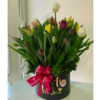 Box 50 Tulipanes