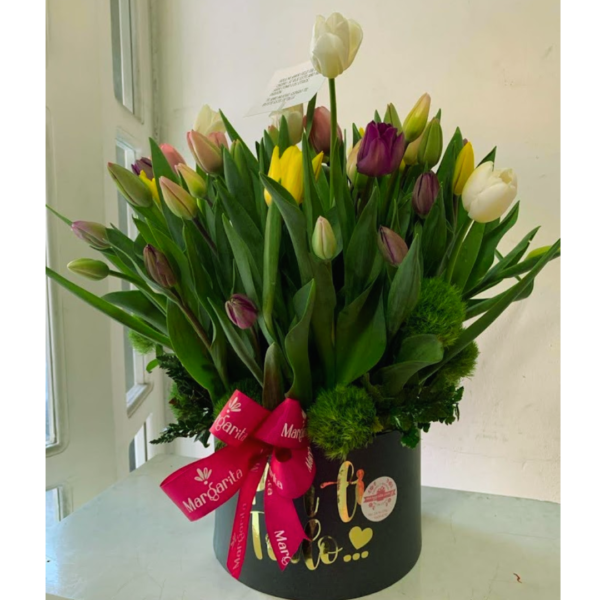 Box 50 Tulipanes