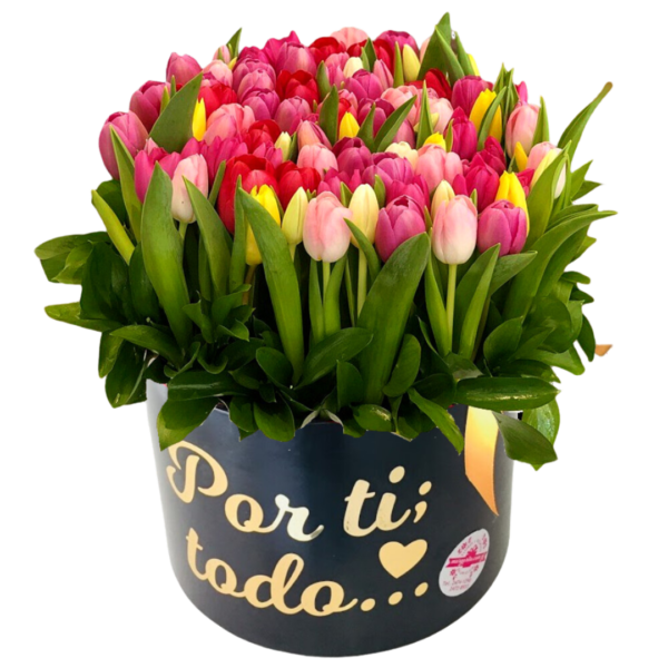 Box 50 Tulipanes - Imagen 2