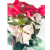 Merry Pascua - Imagen 3