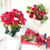 Merry Pascua - Imagen 4