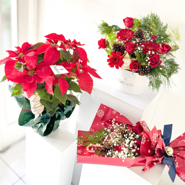 Merry Pascua - Imagen 4