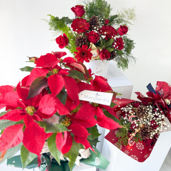 Merry Pascua - Imagen 2