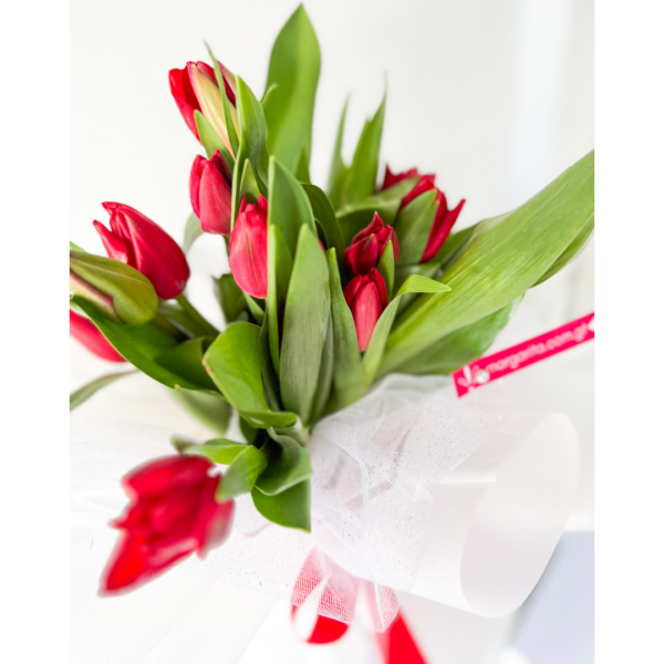 10 Tulipanes - Imagen 8