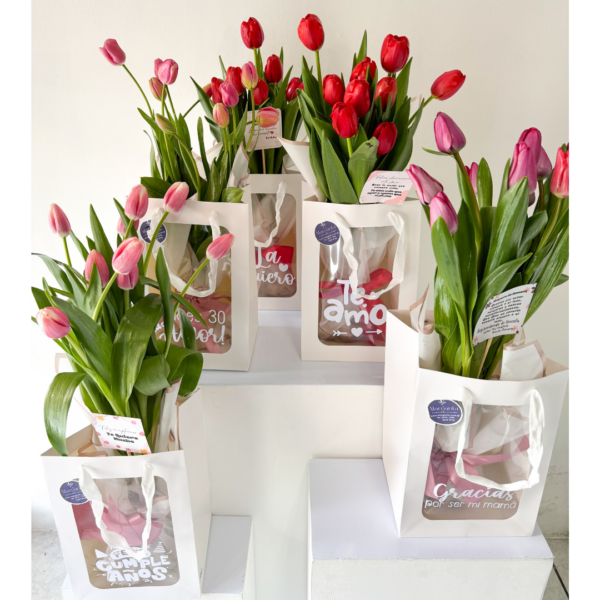 10 Tulipanes - Imagen 2