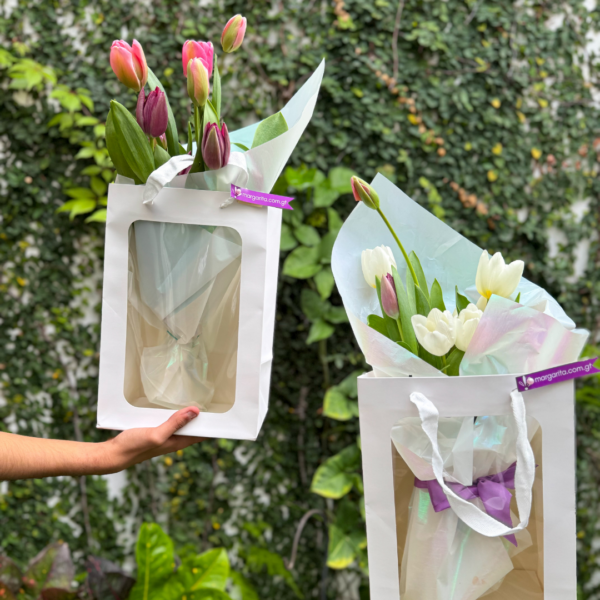 10 Tulipanes - Imagen 6