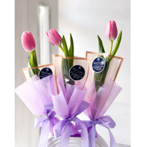 Tulipanes Individuales